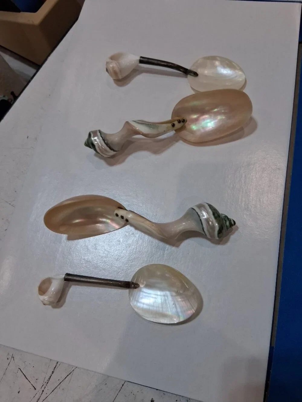 Lot of 4 Mother of Pearl Seashell Cone Snail Caviar Spoons